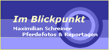 Pferdefotos & Reportagen - Maximilian Schreiner - Im Blickpunkt.com